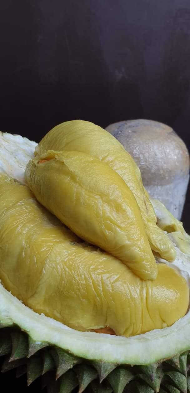 Hougang Durian | Durian Express Delivery